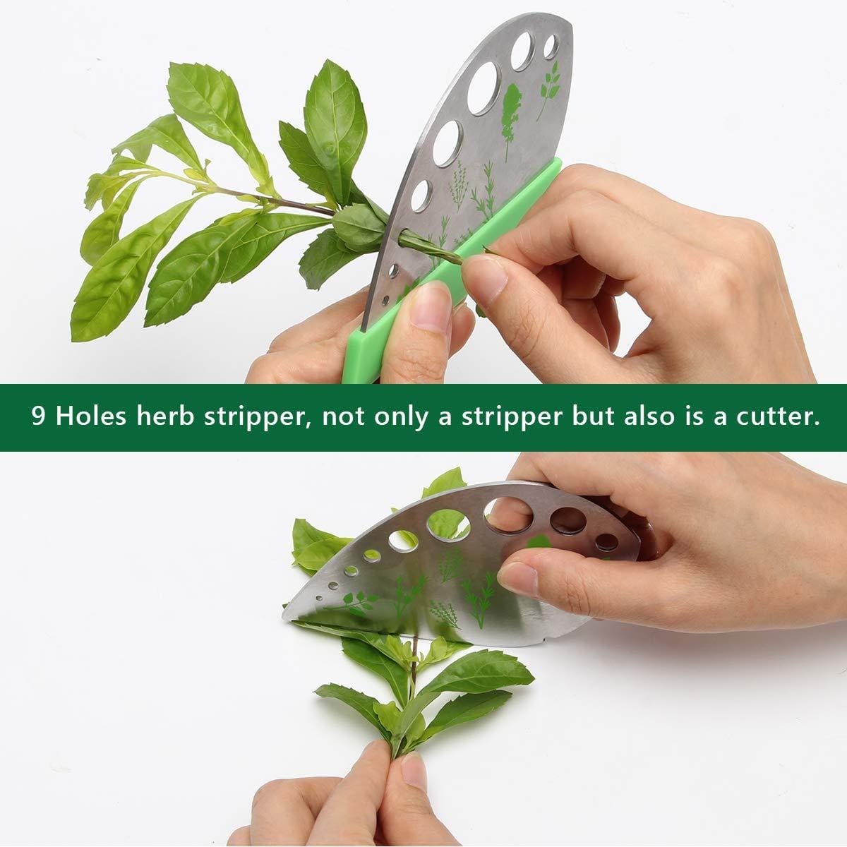 Herb Scissors Stripper Set Kitchen Shears Cutter Tools 5 Blades